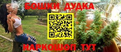 mdpv Заводоуковск