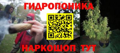 mdpv Заводоуковск