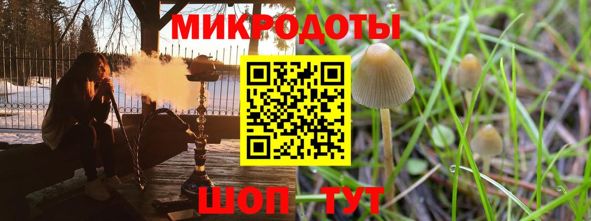 Псилоцибиновые грибы Psilocybe  Галлюциногенные грибы Psilocybe  Вход с VPN  Грязи 